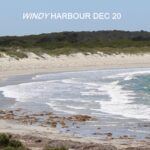 Windy Harbour Dec 20