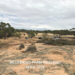 Meckering Farm April 2022